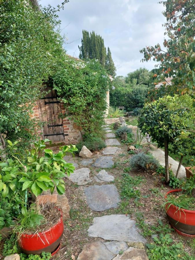 Saint-Florent-sur-Auzonnet Le Mas Du Galibot Chambre Cambalotte المظهر الخارجي الصورة