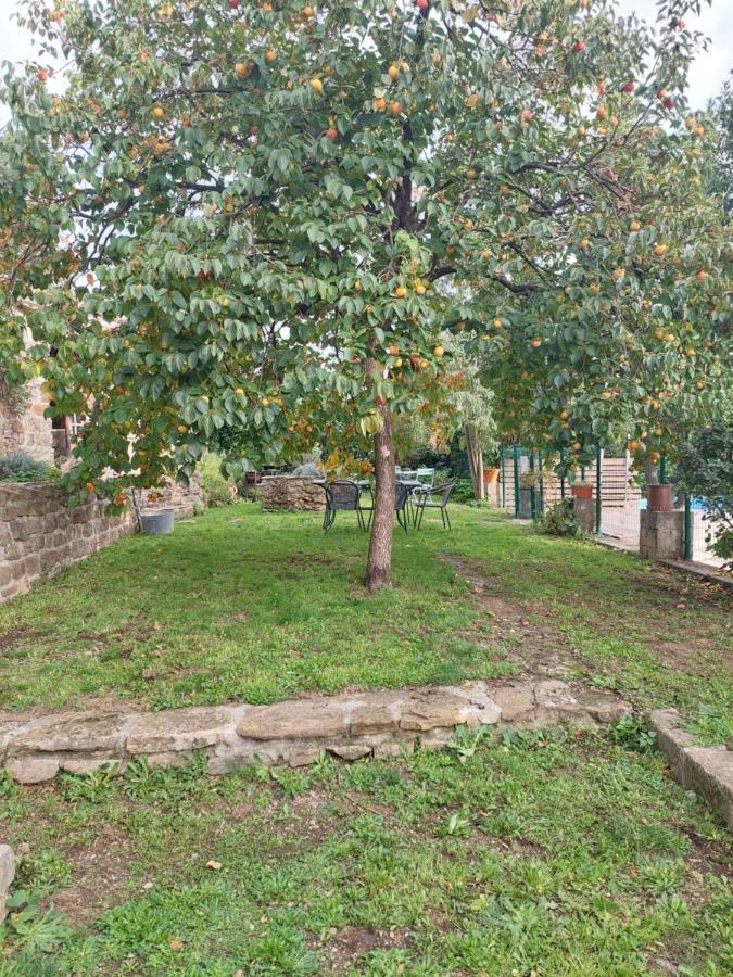 Saint-Florent-sur-Auzonnet Le Mas Du Galibot Chambre Cambalotte المظهر الخارجي الصورة